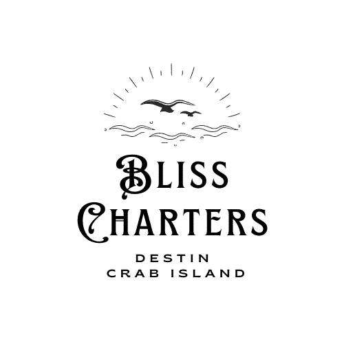 Bliss Charters and Tours